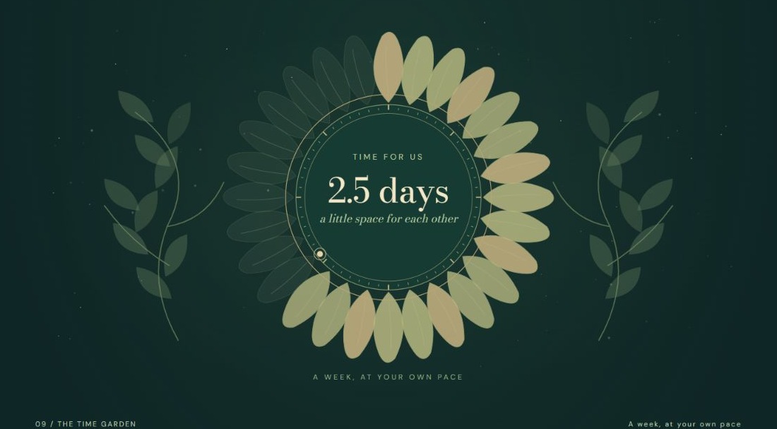 The Time Garden visualization